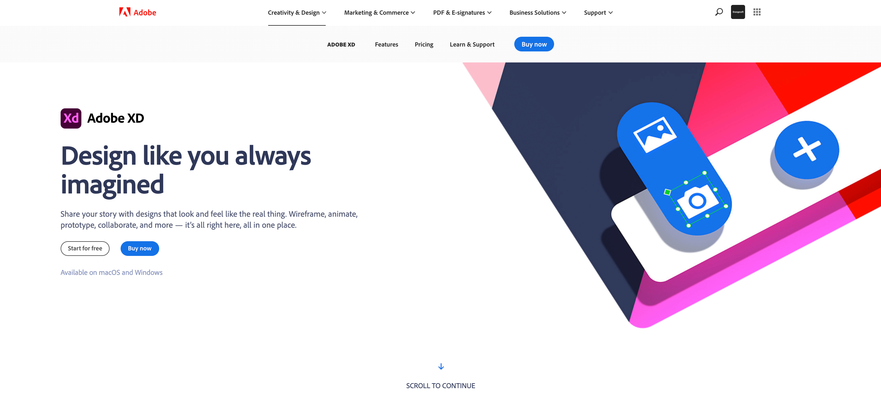adobe xd.png