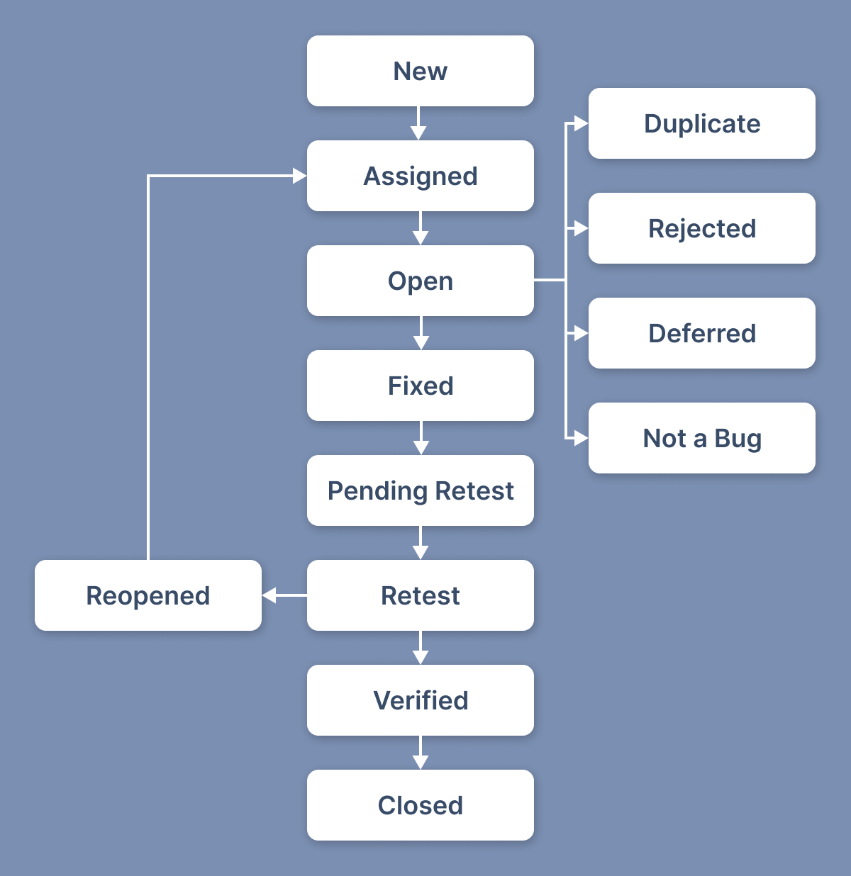Bug life cycle.png